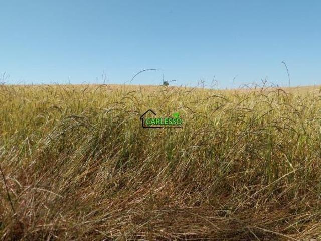 Sítio e chácara venda em Região Geográfica Imediata de Cruz Alta, Quinze de Novembro