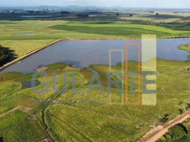 Sítio e chácara venda em Região Geográfica Imediata de Santa Cruz do Sul, Vale Verde