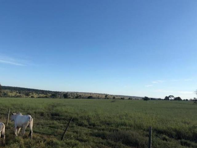Sítio e chácara venda em Anaurilândia, Mato Grosso do Sul