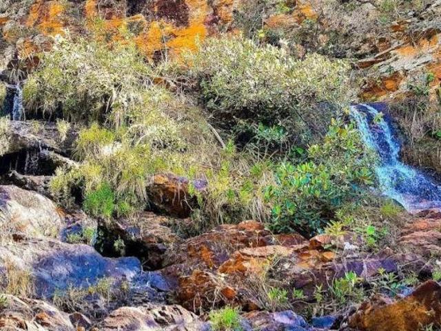 Sítio e chácara venda em Coromandel, Região Geográfica Intermediária de Patos de Minas