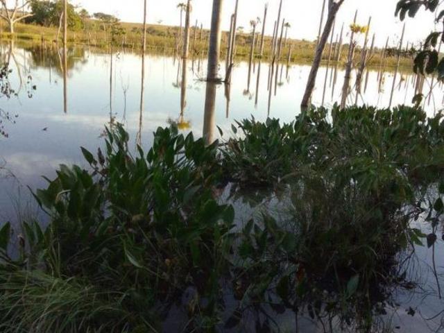 Sítio e chácara venda em Região Geográfica Imediata de Coxim, Mato Grosso do Sul
