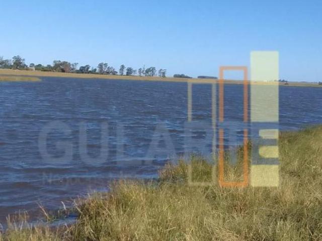 Sítio e chácara venda em Região Geográfica Imediata de Uruguaiana, Alegrete