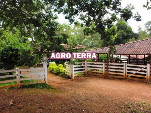 Sítio e chácara venda em Região Geográfica Imediata de Luziânia, Região Integrada de Desenvolvimento do Distrito Federal e Entorno