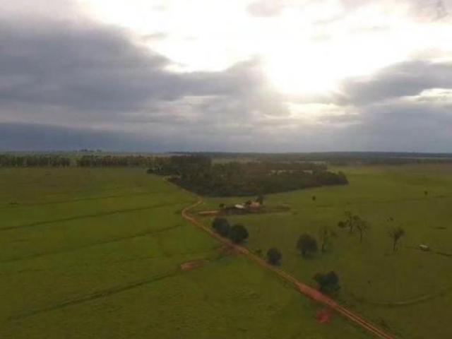 Sítio e chácara venda em Região Geográfica Imediata de Jardim, Bela Vista