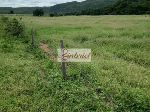 Sítio e chácara venda em Região Geográfica Imediata de Janaúba, Janaúba