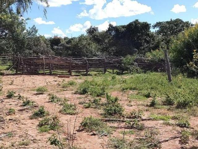 Sítio e chácara venda em Francisco Sá, Região Geográfica Intermediária de Montes Claros