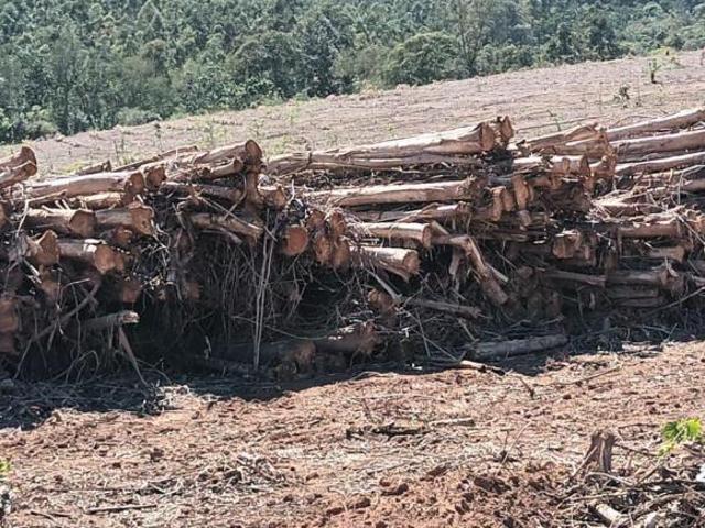 Sítio e chácara venda em Região Imediata de Amparo, Amparo