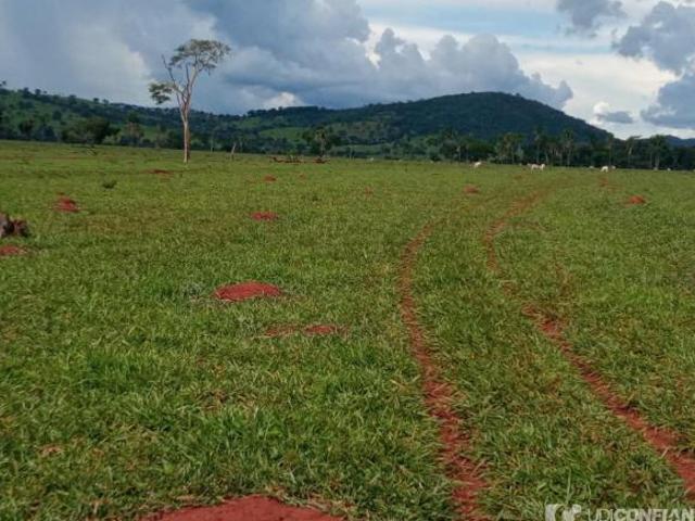 Sítio e chácara venda em Região Geográfica Imediata de Água Boa, Cocalinho