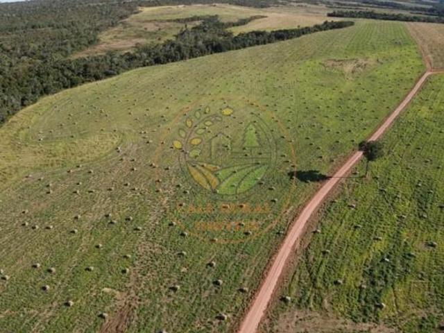 Sítio e chácara venda em Região Geográfica Imediata de Barra do Garças, Barra do Garças