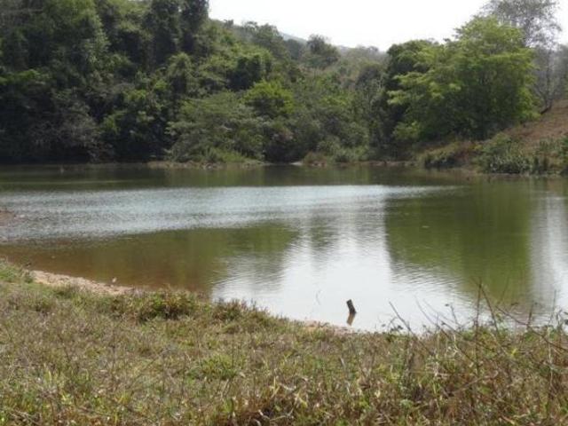 Sítio e chácara venda em Região Geográfica Imediata de Águas Lindas de Goiás, Região Integrada de Desenvolvimento do Distrito Federal e Entorno