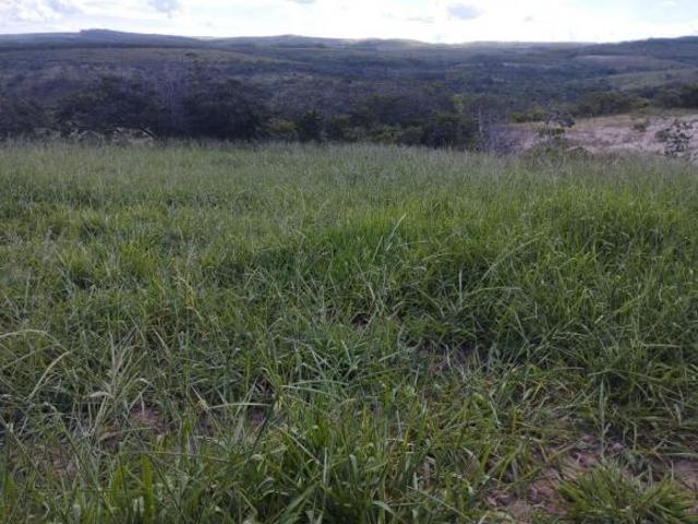 Sítio e chácara venda em Região Geográfica Imediata de Curvelo, Morro da Garça