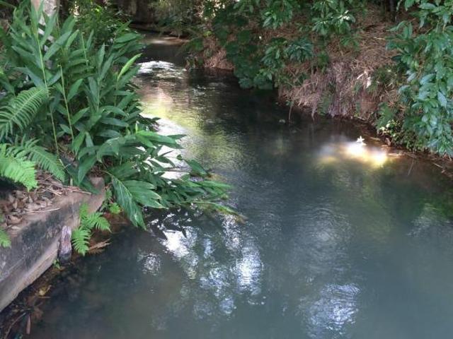 Sítio e chácara venda em São João da Lagoa, Região Geográfica Intermediária de Montes Claros
