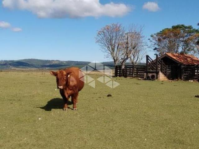 Sítio e chácara venda em Região Geográfica Imediata de Porto Alegre, Região Metropolitana de Porto Alegre