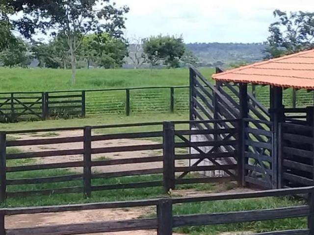 Sítio e chácara venda em Região Geográfica Imediata de Montes Claros, São João do Pacuí
