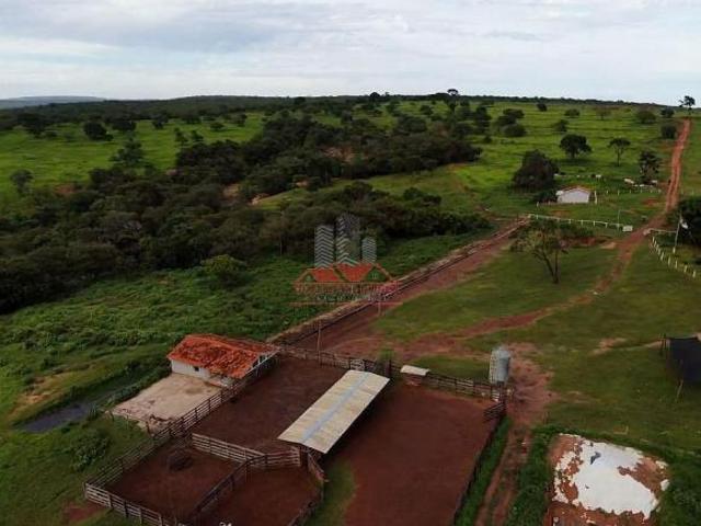 Sítio e chácara venda em Região Geográfica Imediata de Patos de Minas, Presidente Olegário