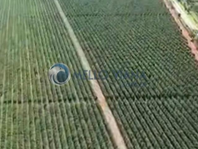 Sítio e chácara venda em Carangola, Região Sudeste