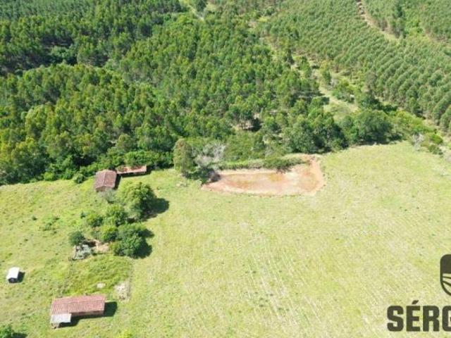 Sítio e chácara venda em Região Geográfica Imediata de Porto Alegre, Região Metropolitana de Porto Alegre