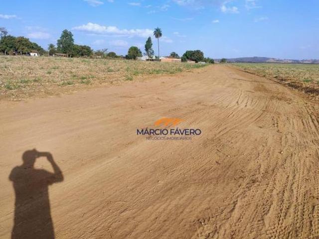 Sítio e chácara venda em Região Imediata de São João da Boa Vista, Região Metropolitana de Ribeirão Preto