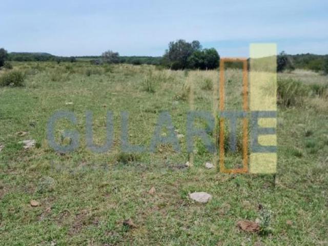 Sítio e chácara venda em Região Geográfica Imediata de Santana do Livramento, Quarai