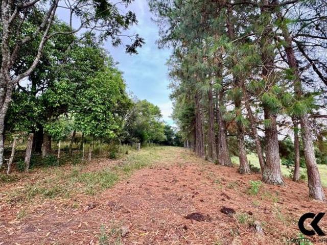 Sítio e chácara venda em Região Geográfica Imediata de Frederico Westphalen, Pinhal