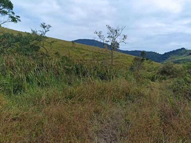 Sítio e chácara venda em Região Imediata de Campinas, Região Metropolitana de Campinas