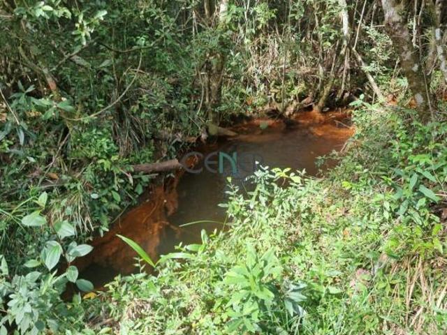 Sítio e chácara venda em Região Geográfica Imediata de Juiz de Fora, Lima Duarte