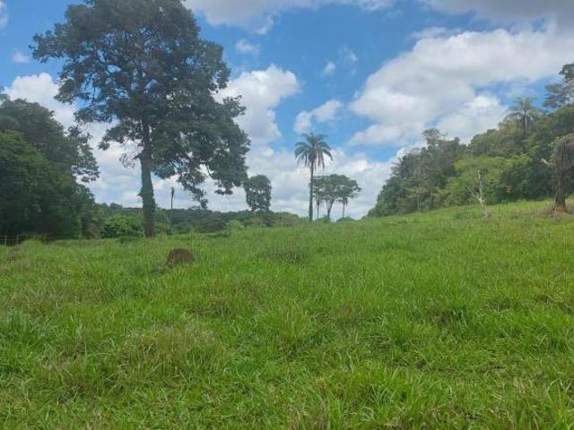 Sítio e chácara venda em Região Geográfica Imediata de Diamantina, Felício dos Santos