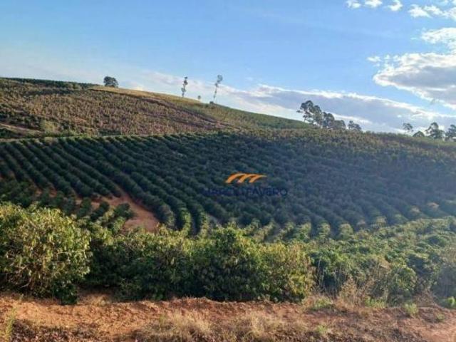 Sítio e chácara venda em Região Geográfica Imediata de Pouso Alegre, Ouro Fino