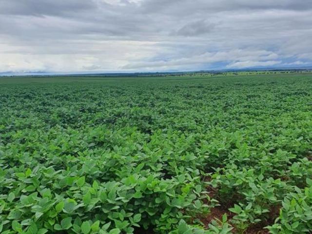 Sítio e chácara venda em Região Geográfica Imediata de Rio Verde, Itajá