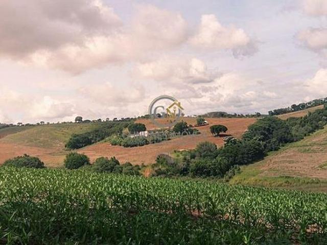 Sítio e chácara venda em Conceição do Rio Verde, Região Geográfica Intermediária de Pouso Alegre