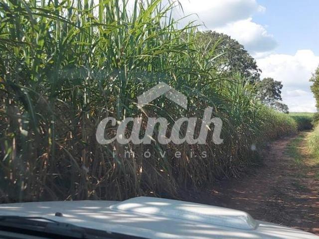 Sítio e chácara venda em Região Imediata de São Carlos, São Carlos
