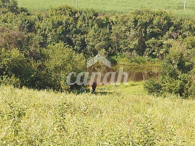 Sítio e chácara venda em Região Imediata de São Carlos, São Carlos