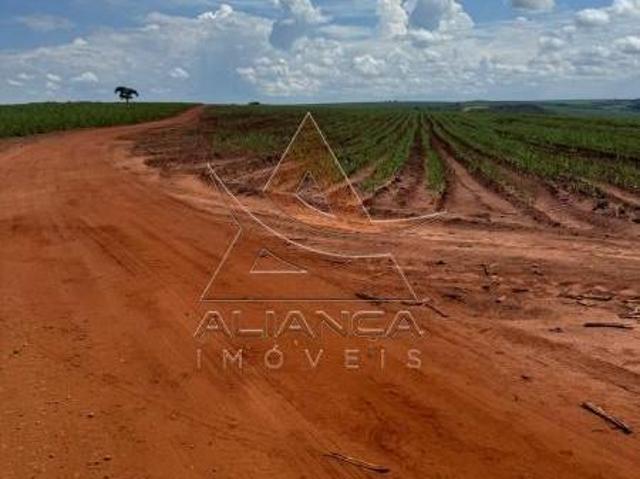 Sítio e chácara venda em Região Imediata de Araraquara, Gavião Peixoto