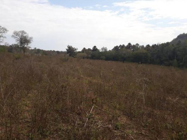 Sítio e chácara venda em Região Geográfica Imediata de Campo Grande, Rochedo