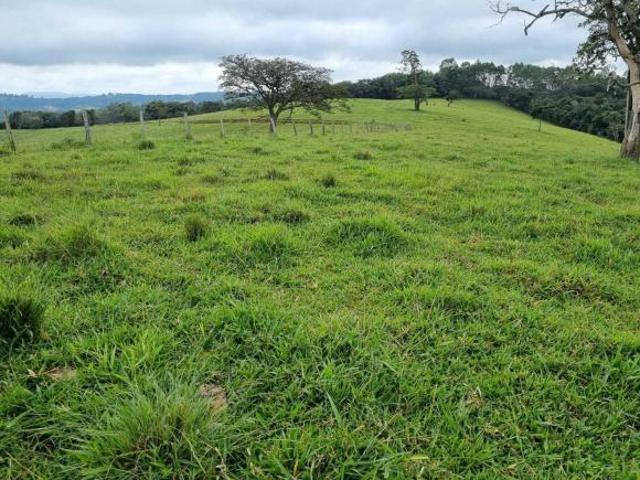 Sítio e chácara venda em Região Geográfica Imediata de Caxambu - Baependi, Cruzília