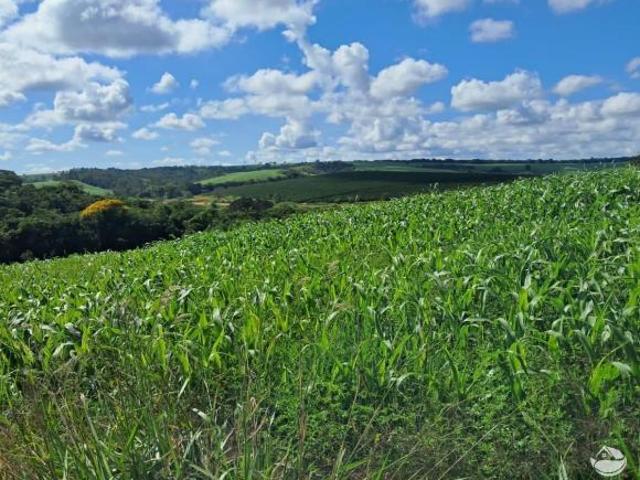 Sítio e chácara venda em Região Geográfica Imediata de Ipatinga, Região Metropolitana do Vale do Aço