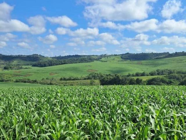Sítio e chácara venda em Região Geográfica Imediata de Ipatinga, Região Metropolitana do Vale do Aço
