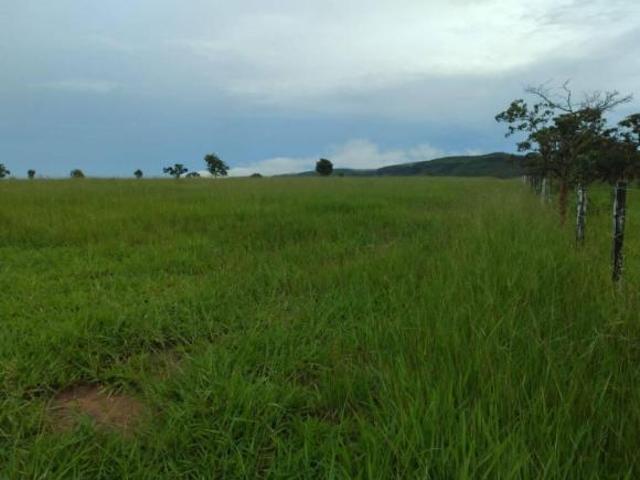 Sítio e chácara venda em Região Geográfica Imediata de Barra do Garças, Barra do Garças