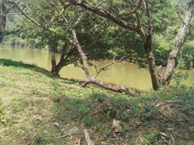 Sítio e chácara venda em Região Geográfica Imediata de Ponte Nova, Ponte Nova