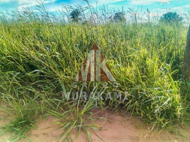Sítio e chácara venda em Amambai