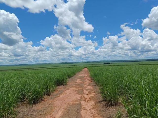 Sítio e chácara venda em Região Imediata de São Paulo, Região Metropolitana de São Paulo