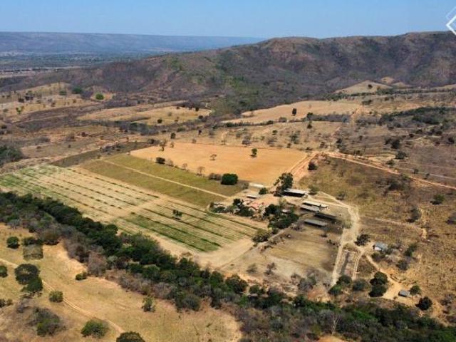 Sítio e chácara venda em Região Geográfica Imediata de Unaí, Região Integrada de Desenvolvimento do Distrito Federal e Entorno