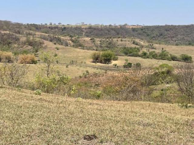 Sítio e chácara venda em Região Imediata de Marília, Marília