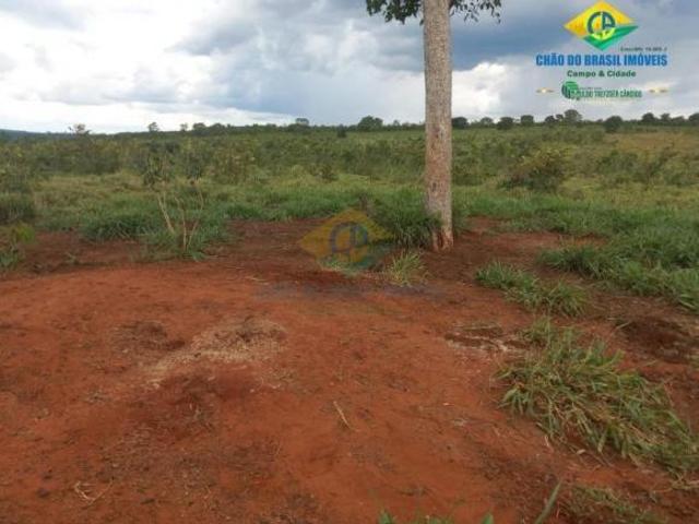 Sítio e chácara venda em Região Geográfica Imediata de Coxim, Mato Grosso do Sul