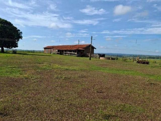 Sítio e chácara venda em Região Imediata de Presidente Prudente, Mirante do Paranapanema