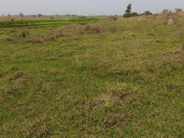 Sítio e chácara venda em Região Imediata de Fernandópolis, Fernandópolis