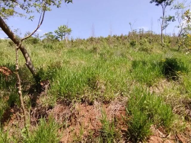 Fazenda venda em Região Imediata de Guaratinguetá, Região Metropolitana do Vale do Paraíba e Litoral Norte
