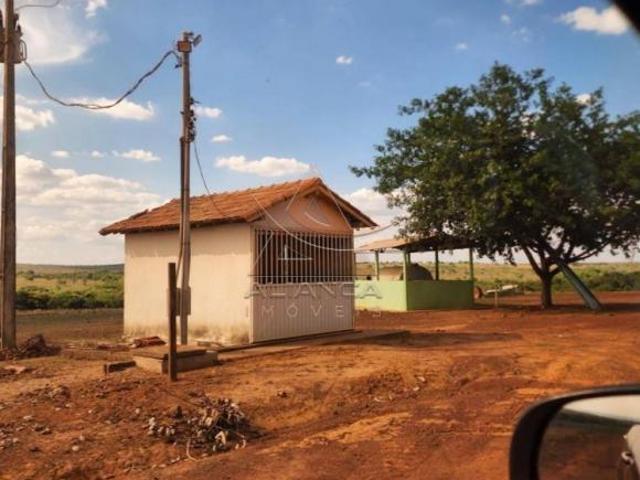 Sítio e chácara venda em Região Geográfica Imediata de Uruaçu - Niquelândia, Campinorte