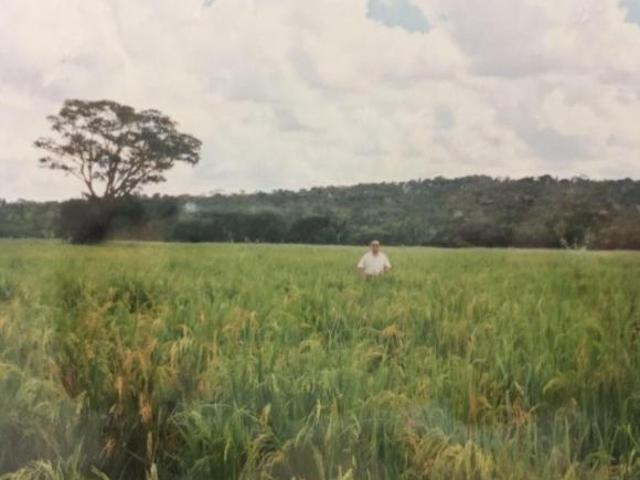 Sítio e chácara venda em Região Geográfica Imediata de Ituiutaba, Ituiutaba