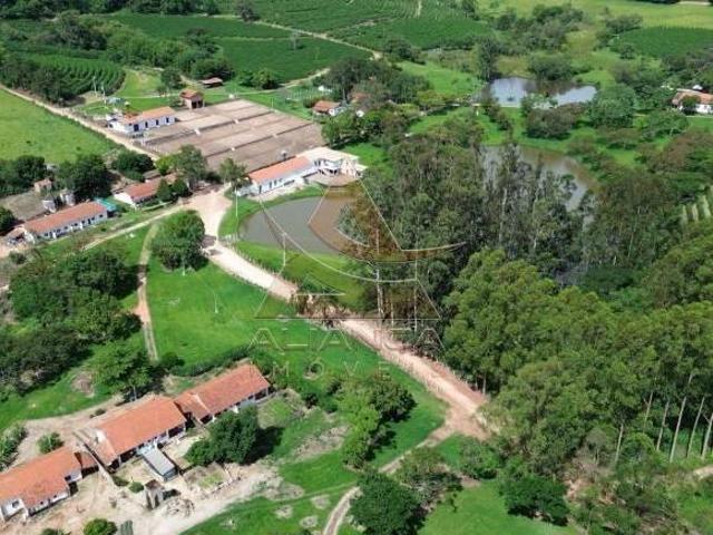 Sítio e chácara venda em Região Imediata de Amparo, Amparo